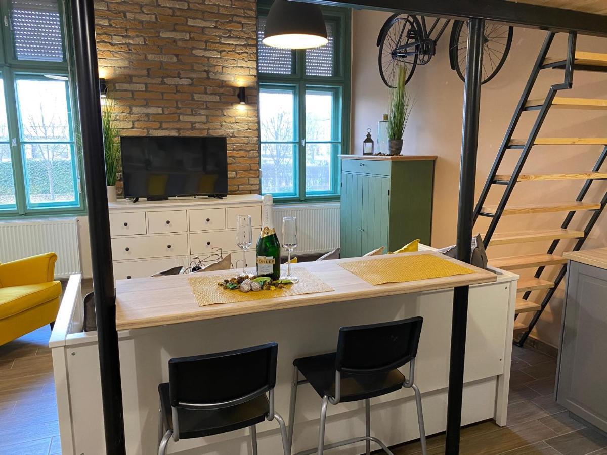 Pedal Apartman Szeged City公寓 外观 照片